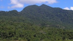 Gunung Mbeliling (www.gunungbagging.com)